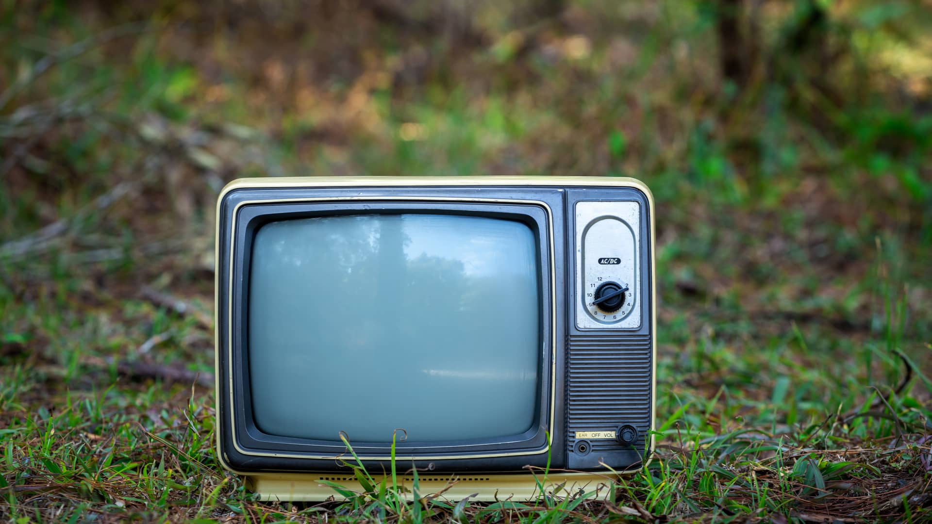 television vieja en el bosque que representa que ya no puedes contratar blim con izzi