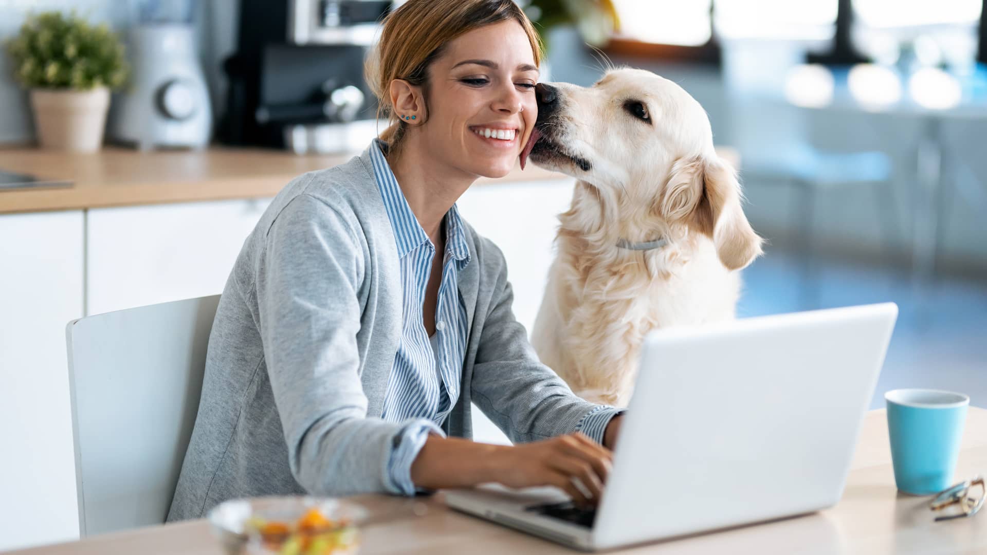 chica contenta con el ordenador en compañia de su perro mirando como cambiar la contraseña de su modem de internet con megacable