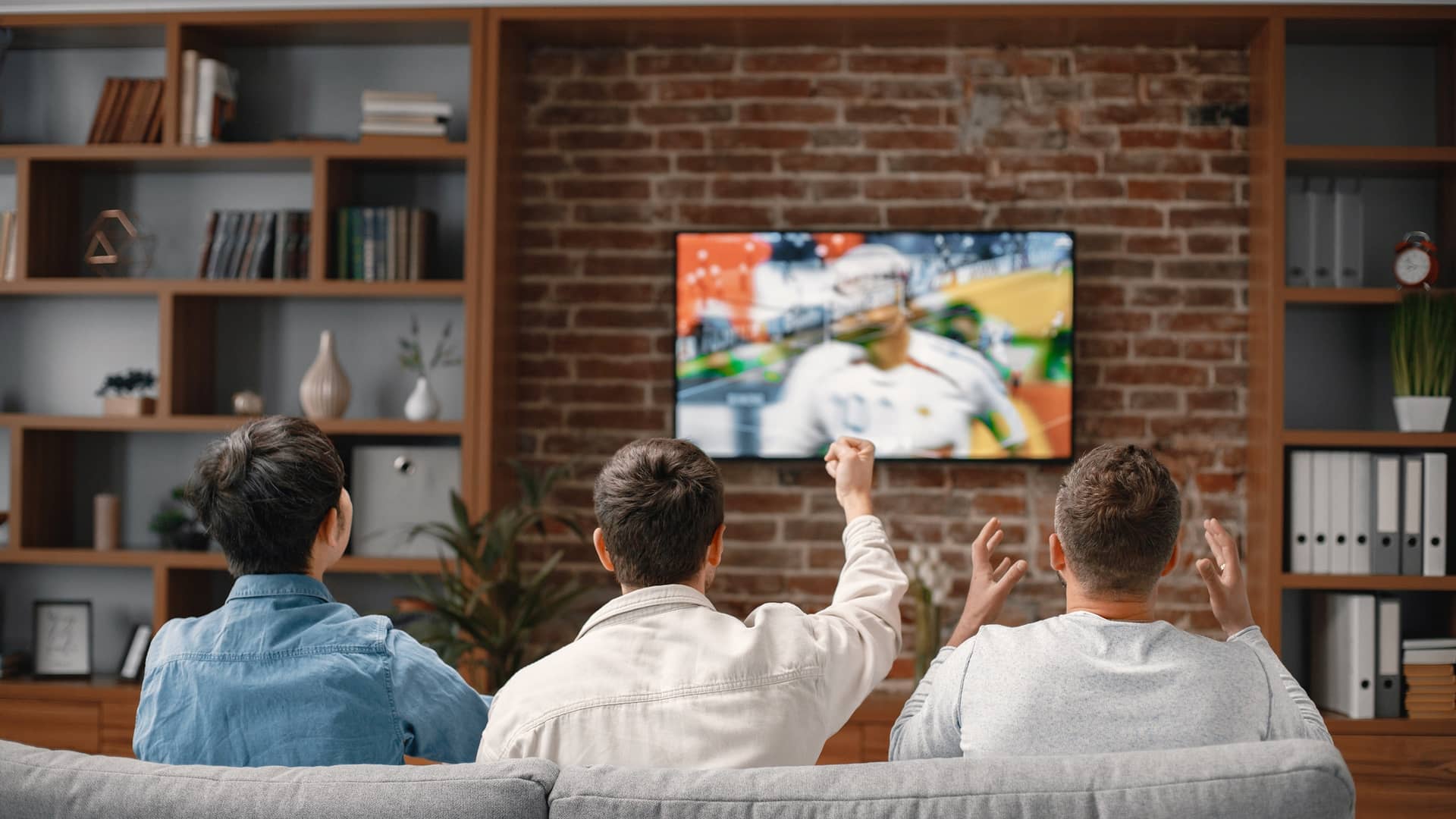 chicos de espaldas mirando el futbol en el televisor por el sports de sky