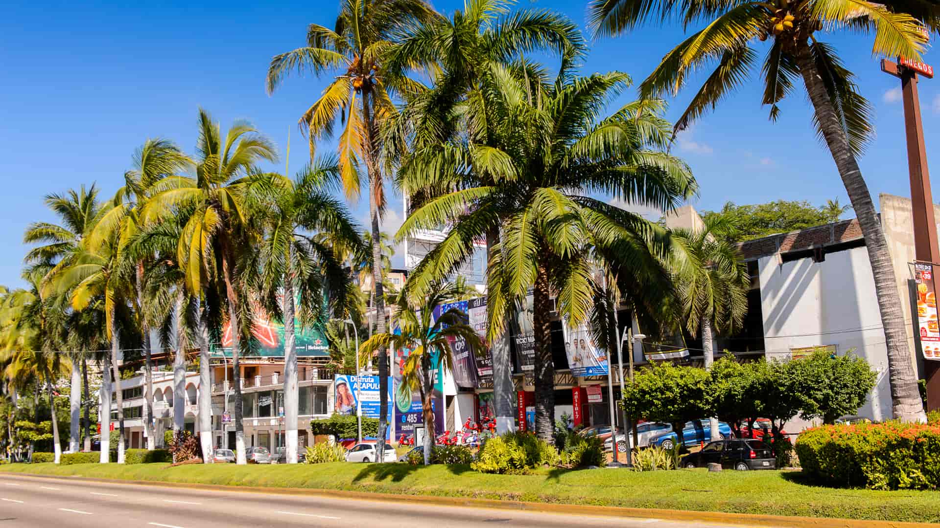 calle con palmeras de la ciudad de acapulco que represneta las sucursales de telcel en esa localidad